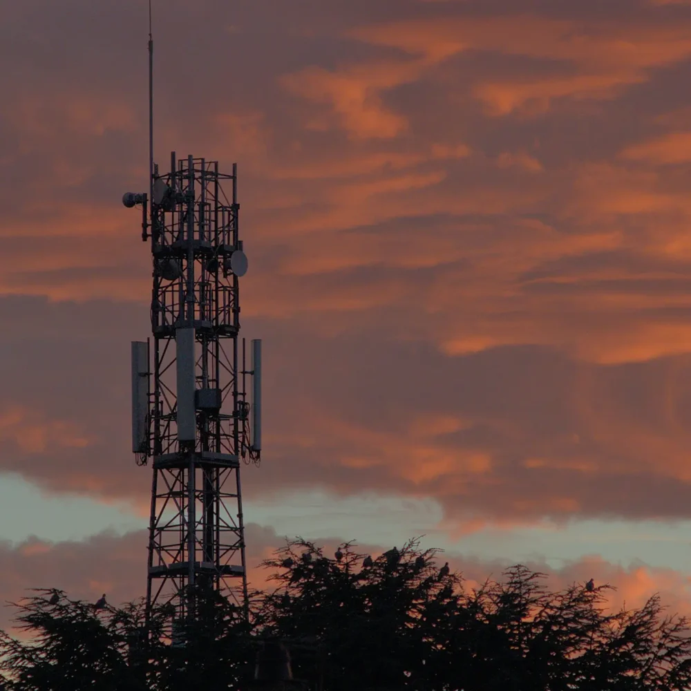 christopher-1sT46mkjAo0-unsplash 1